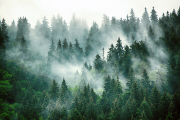 变速箱区别（电车变速箱和油车变速箱区别）