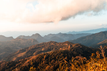 深圳95号汽油价格（深圳95号汽油价格多少钱一升）